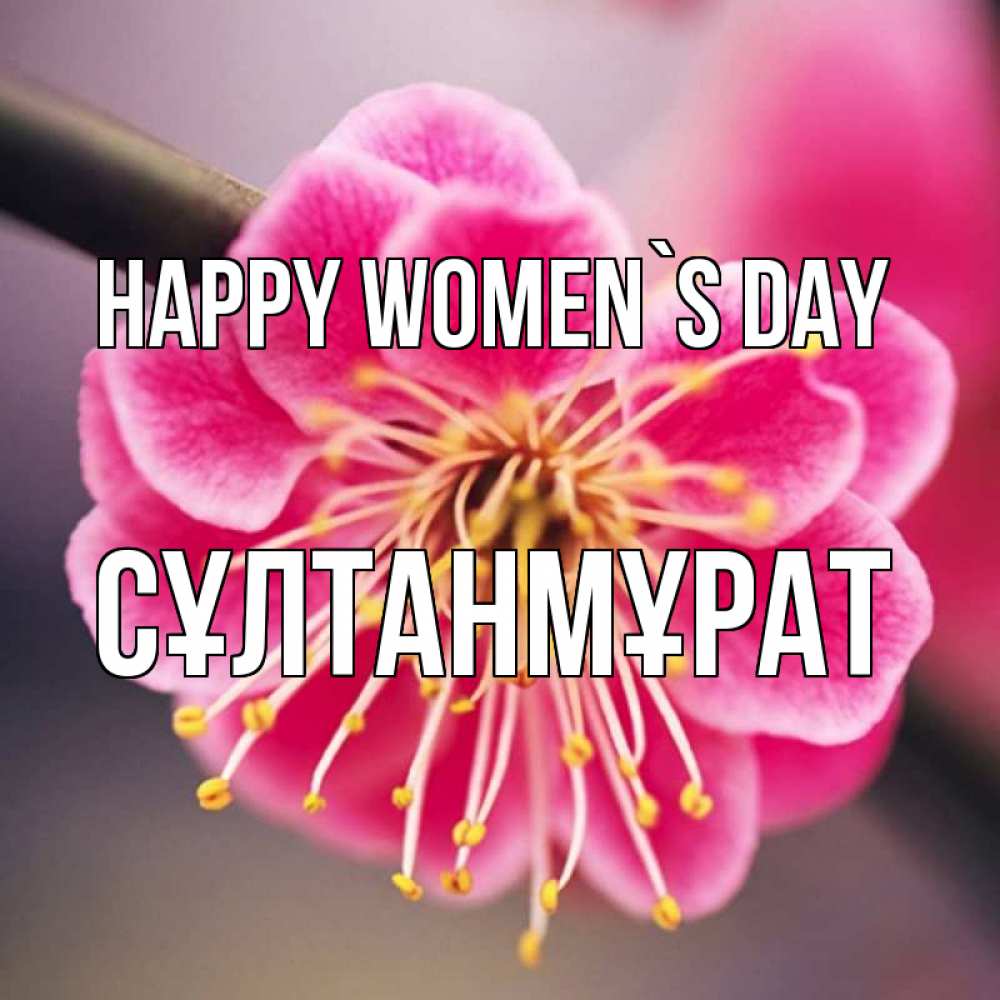 Greetings card с именем, СҰЛТАНМҰРАТ happy women`s day цветы Greetings with text for free download 